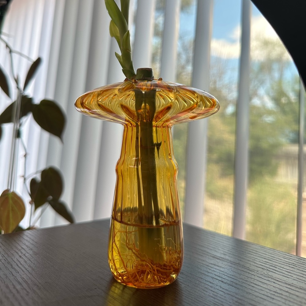 Glass mushroom vase